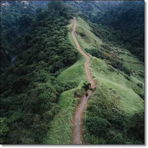 개별공시지가조회