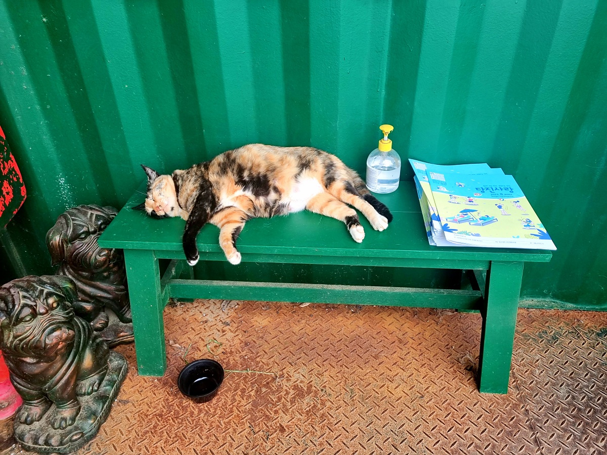 충남 당진 아미미술관: 현대미술, 수국, 야외 조형물, 인스타그램 감성 포토존