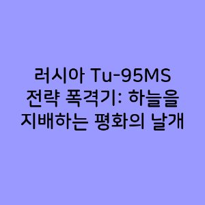 러시아 Tu-95MS 전략 폭격기