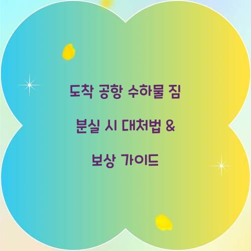 도착 공항 수하물 짐 분실