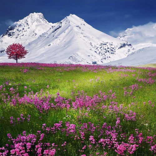 알파벳-L로-시작하는-영어단어