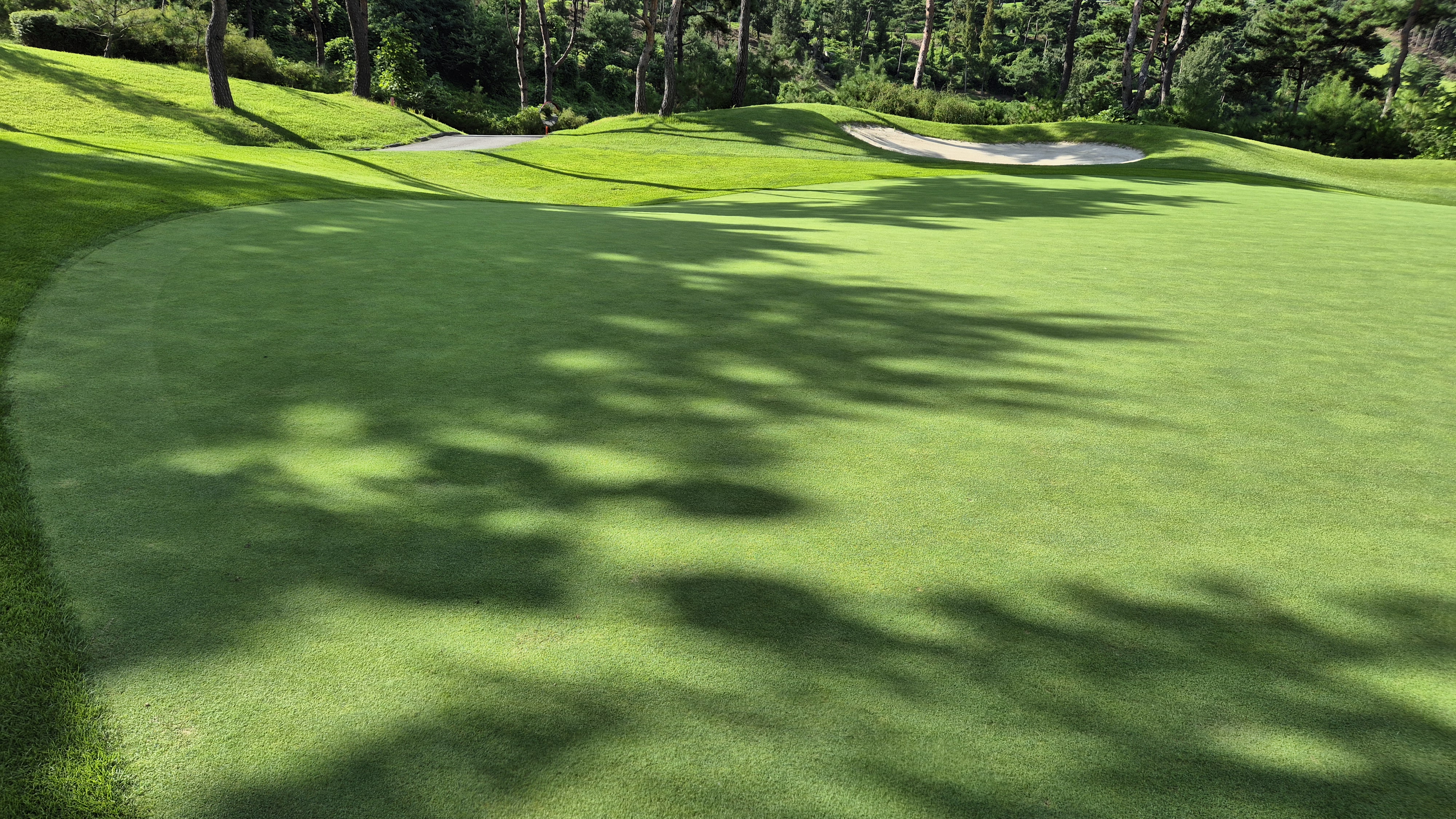 세일cc 들길-산길 코스 라운드 후기