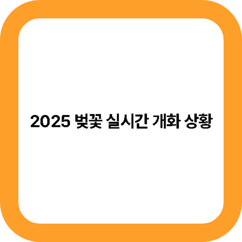 2025 벚꽃 실시간 개화 상황 대표사진