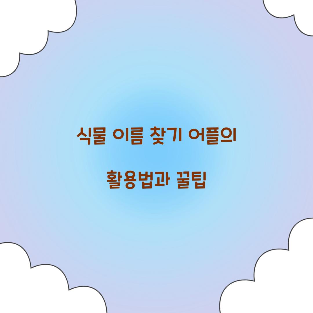 ์๋ฌผ ์ด๋ฆ ์ฐพ๊ธฐ ์ดํ