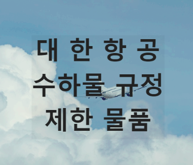 대한항공 수하물규정
