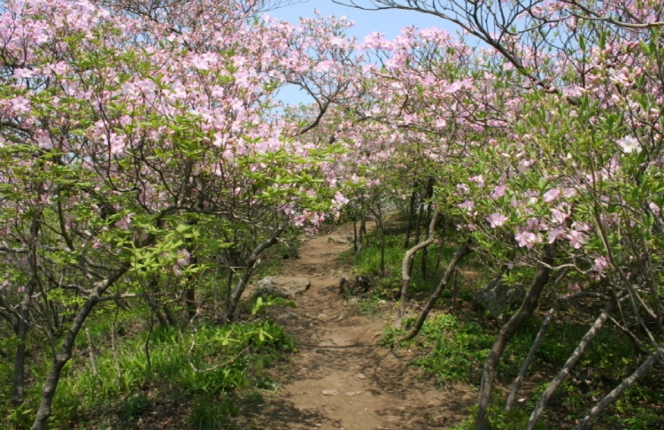 축령산 자연휴양림