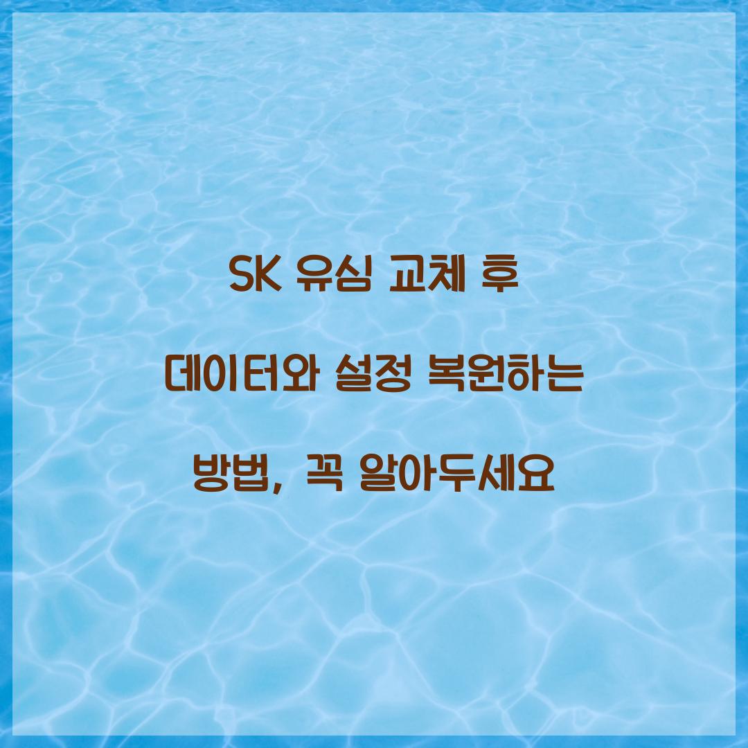 SK 유심 교체 후 데이터와 설정 복원하는 방법