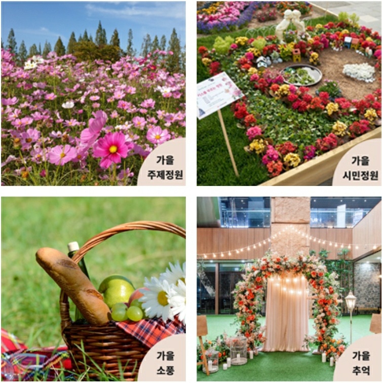 가을 꽃 축제 일정과 지역