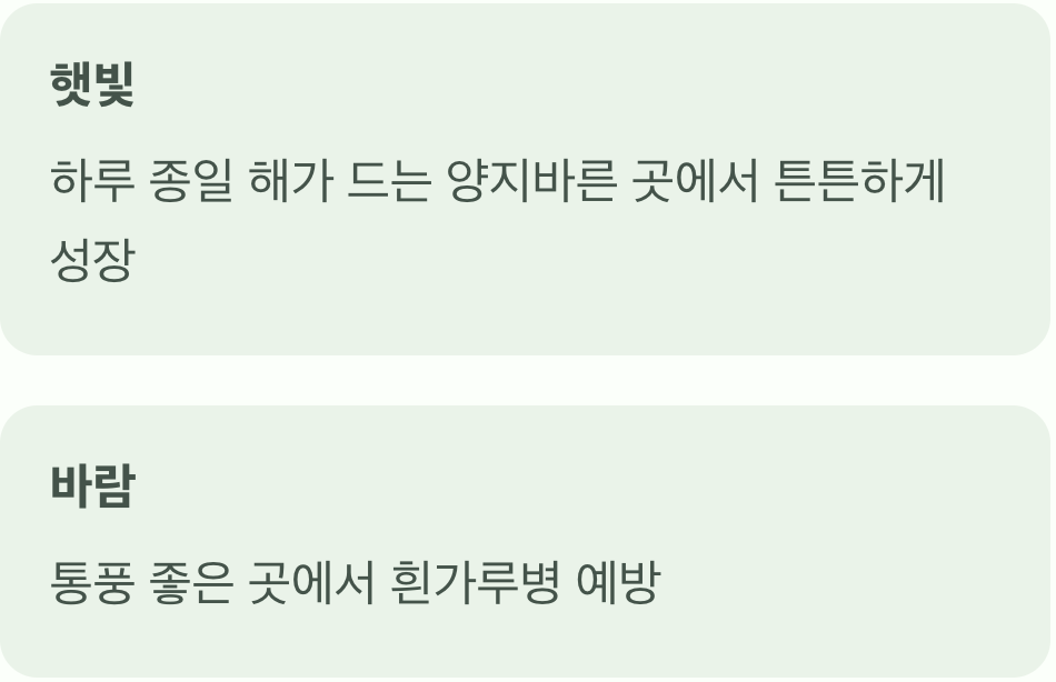 햇빛과 바람&amp;#44; 최고의 보약