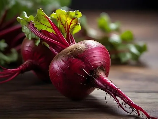 위장 민감 소량 섭취 말린 비트차