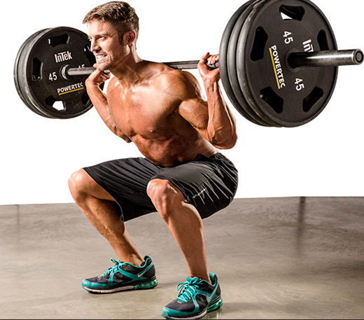 바벨 백 스쿼트