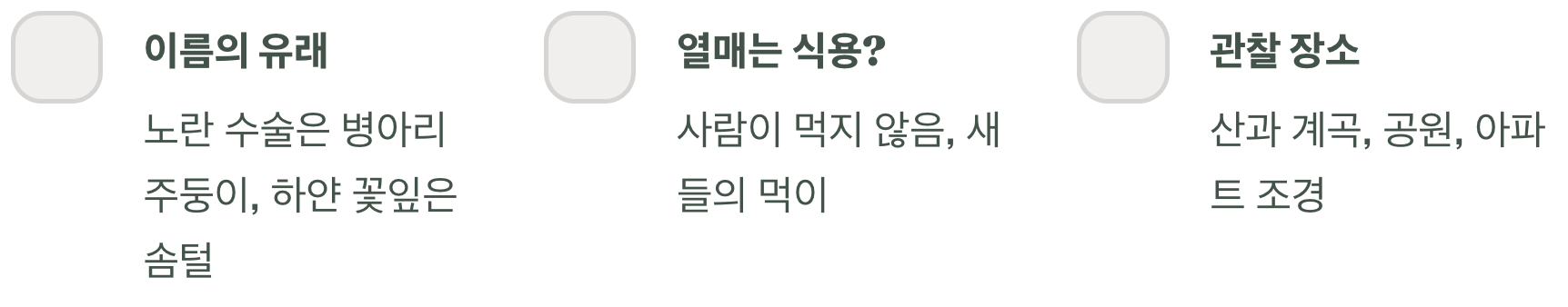 병아리꽃나무의 특징, 한 페이지로 끝내는 완벽 가이드