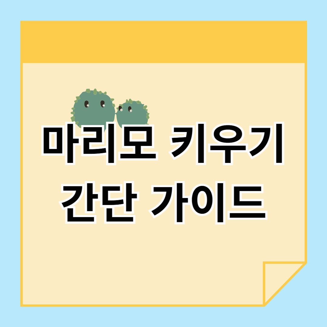 마리모 키우기 간 가이드: 밥 주는 법부터 가짜 구별까지!