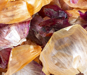 양파 먹는 꿈 양파 심는 꿈 양파 자르는 꿈