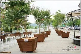 젖은수건 가습 활용 실내습도 유지 분무타이밍 잎끝마름 방지_14