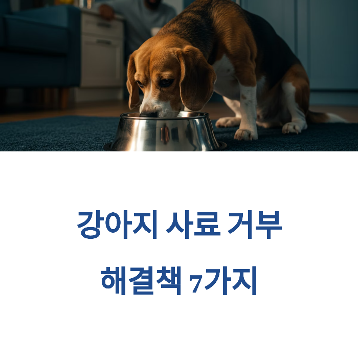 강아지 사료 안먹을 때