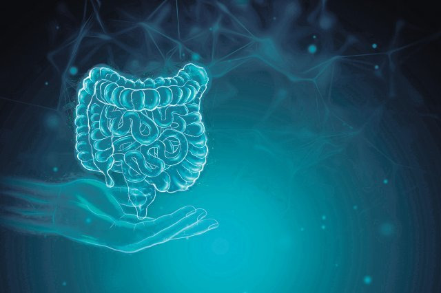 프로바이오틱스