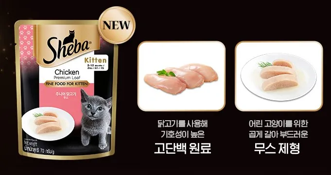 아기고양이-습식사료-추천-쉬바-키튼
