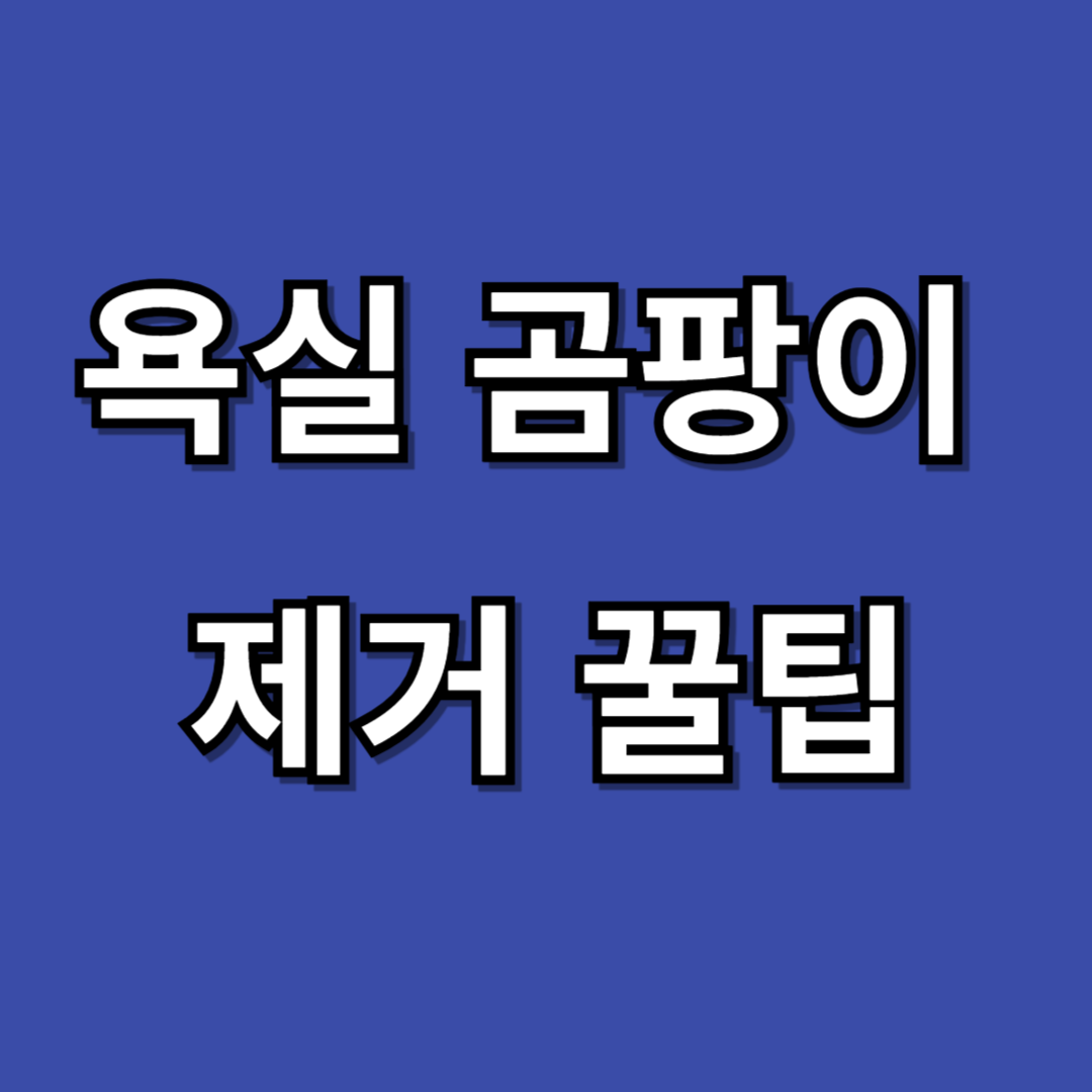 욕실 곰팡이 제거 꿀팁