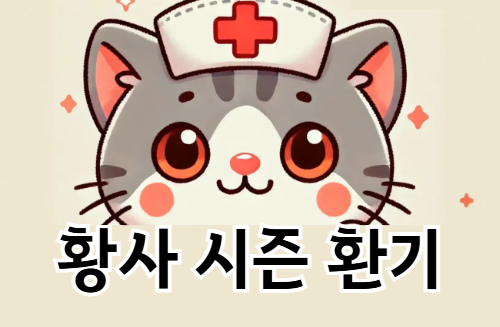 황사 시즌 환기 팁, 이렇게 하세요! 실내 공기 관리법 총정리