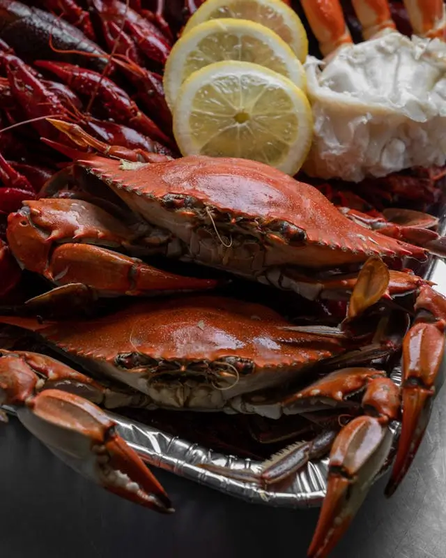 활꽃게&amp;#44; 냉동꽃게 찌기&amp;#44; 해감하기&amp;#44; 꽃게 손질&amp;#44; 세척방법