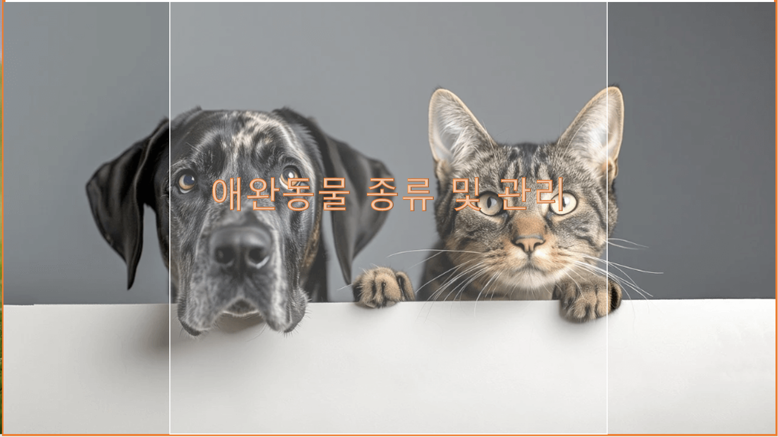 애완동물 종류 및 관리