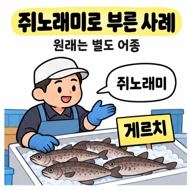 쥐노래미로 부른 사례와 원래는 별도 어종 문구 아래 판매자가 게르치 표지 옆에서 쥐노래미라고 설명하는 모습