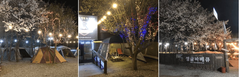 정글바베큐 이미지