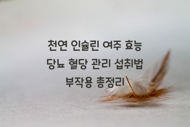 여주 효능