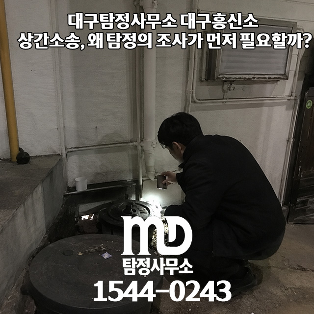 증거수집하는 탐정