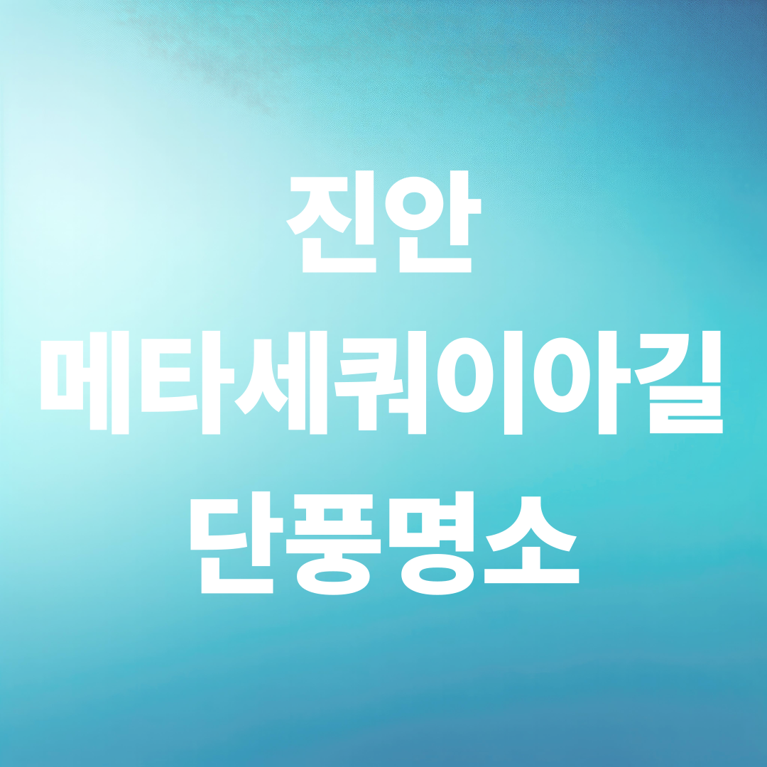 진안 부귀 메타세쿼이아길 단풍 명소