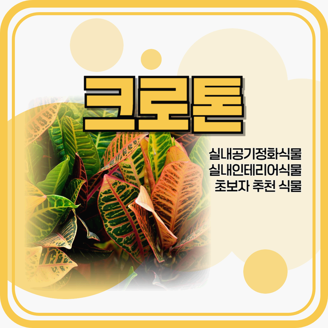 크로톤