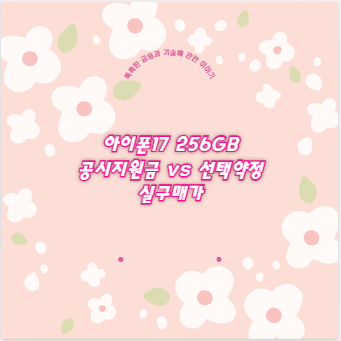 아이폰17 256GB 공시지원금 vs 선택약정 실구매가