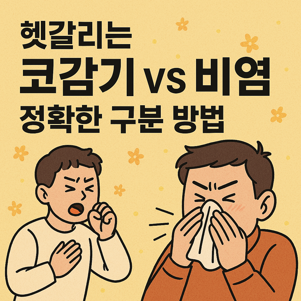 헷갈리는 코감기 비염 정확한 구분 방법