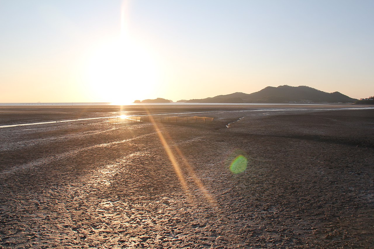 한국갯벌 관련사진