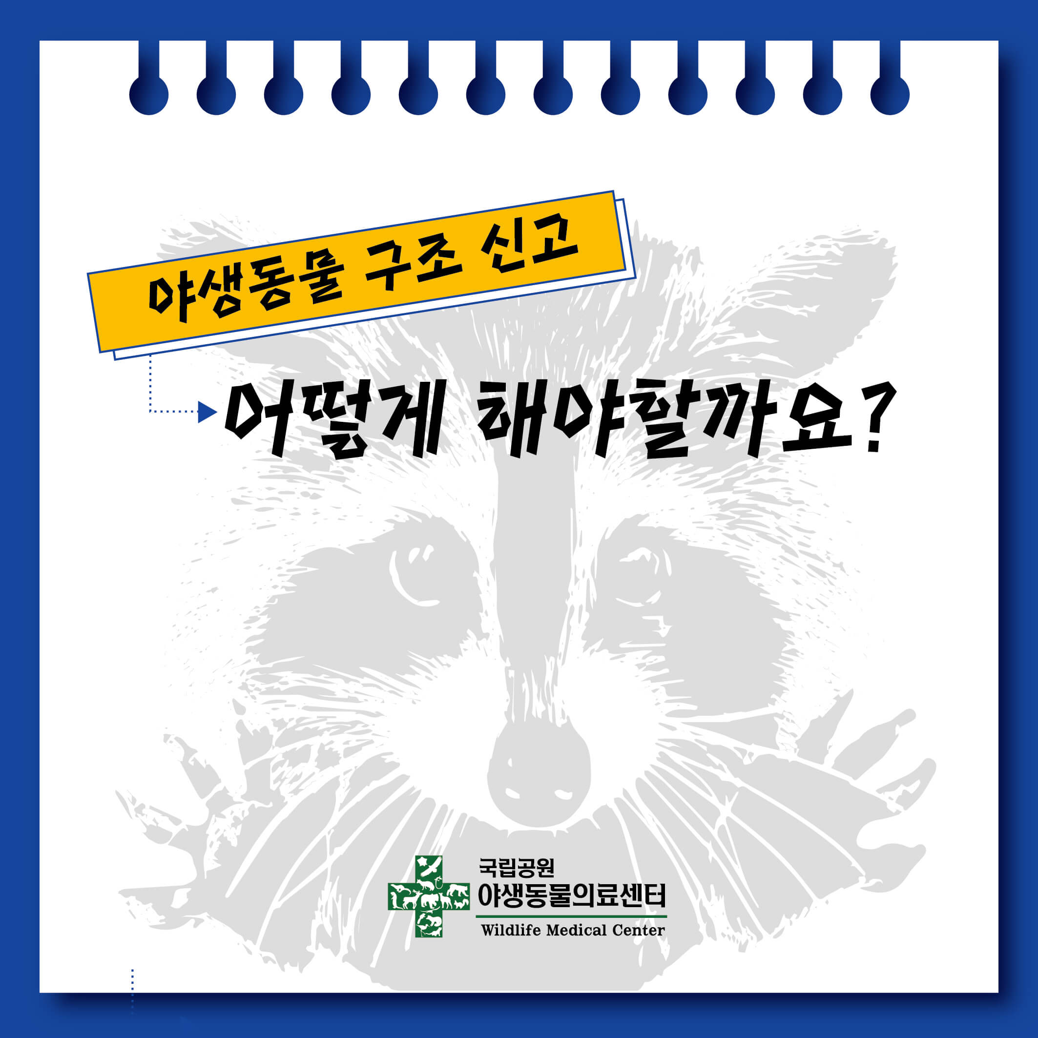 가을 단풍 여행지 추천 장소 _ 두륜산, 무등산, 내장산, 계룡산, 북한산