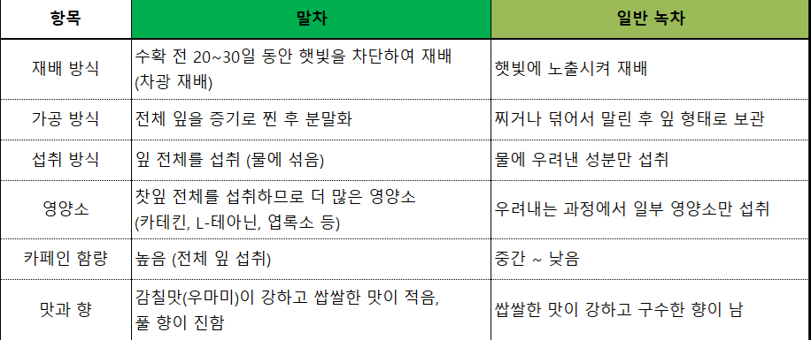 말차와 녹차의 차이점