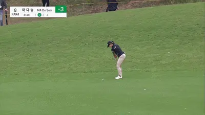 마다솜 이글 영상