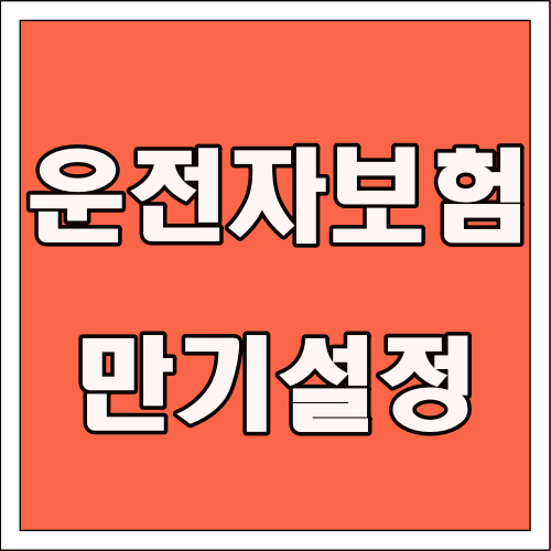 운전자보험 만기 설정 글씨 썸네일