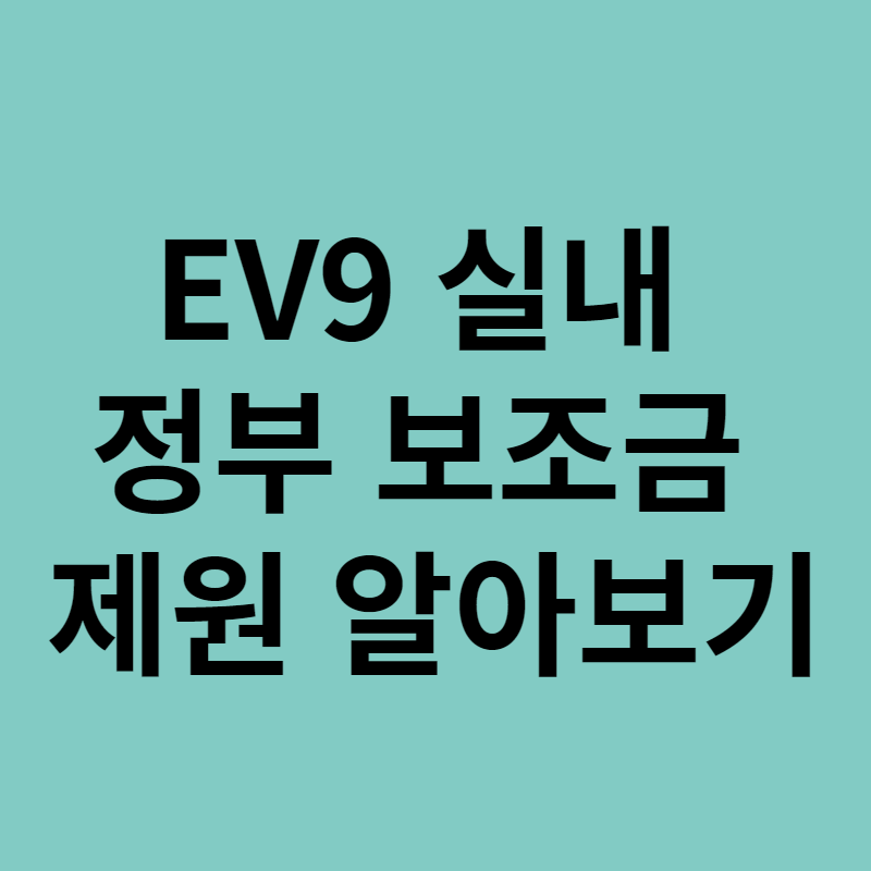 EV9 실내 정부 보조금 제원 알아보기