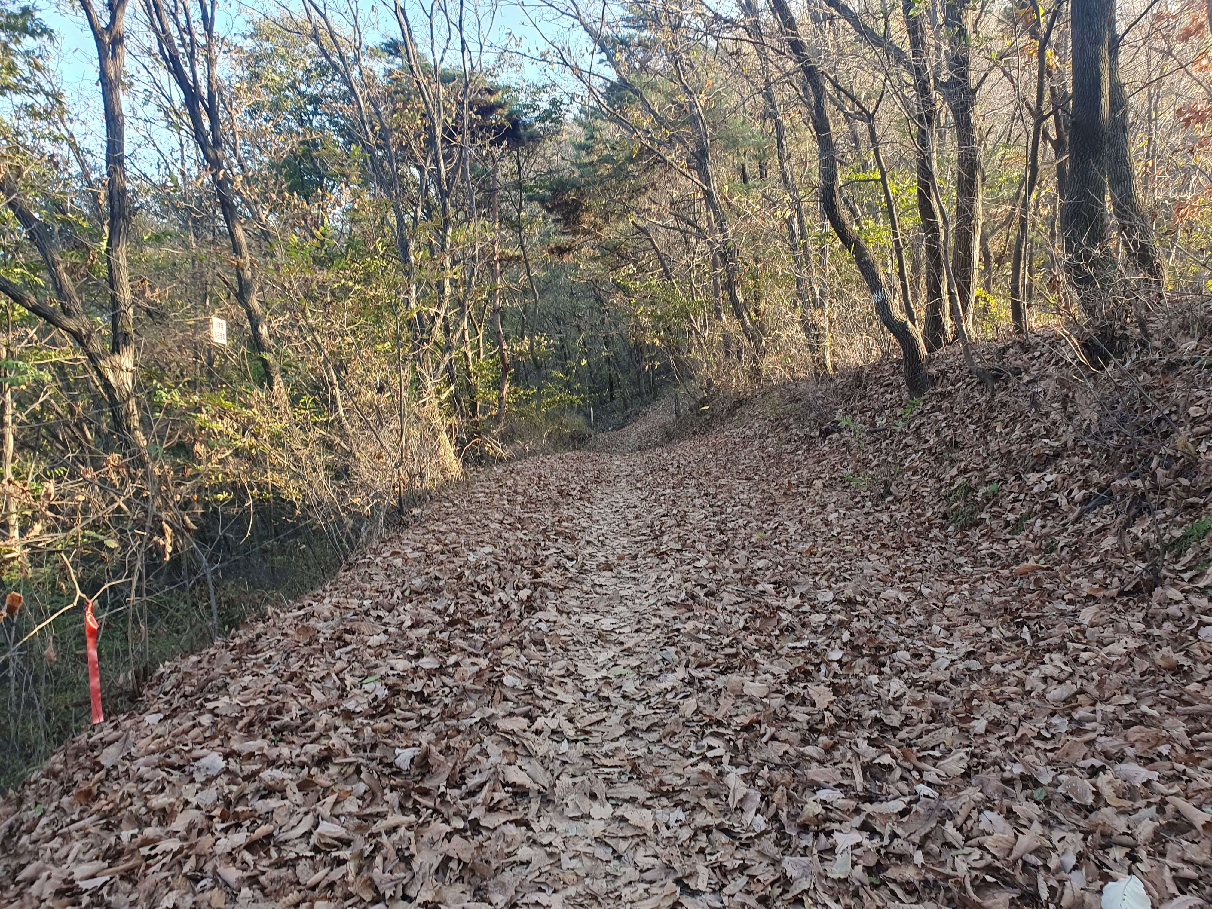 봉서산 등산로