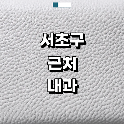 서울 서초구 내과