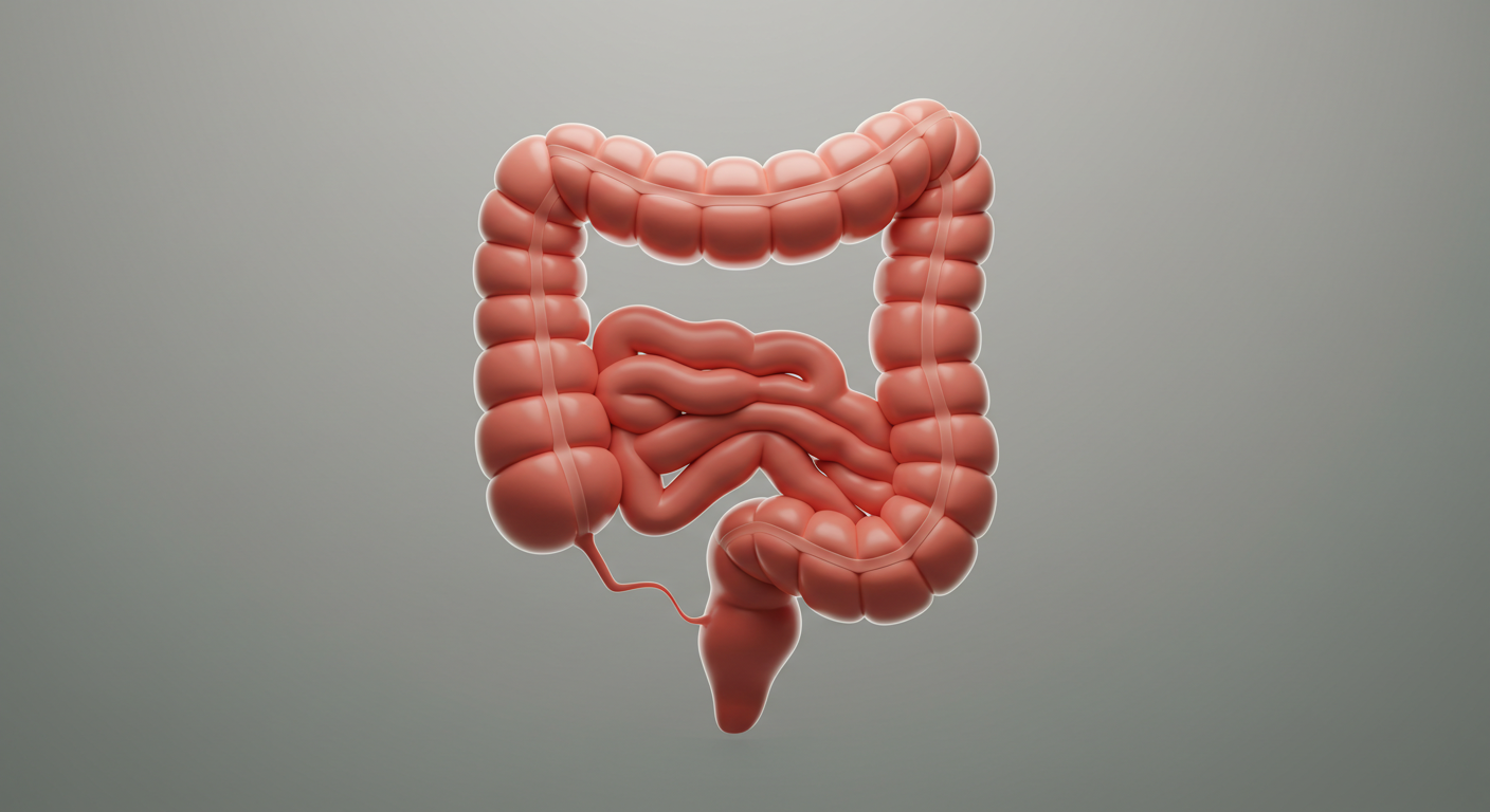 배에 가스가 자주 차는 이유