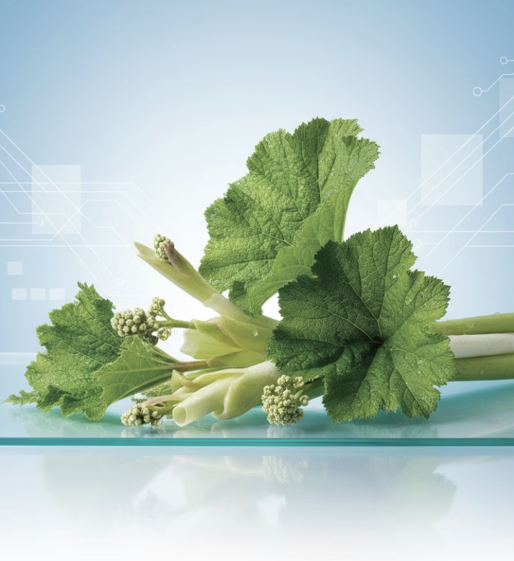 최종 결론: 목적에 맞는 지혜로운 선택