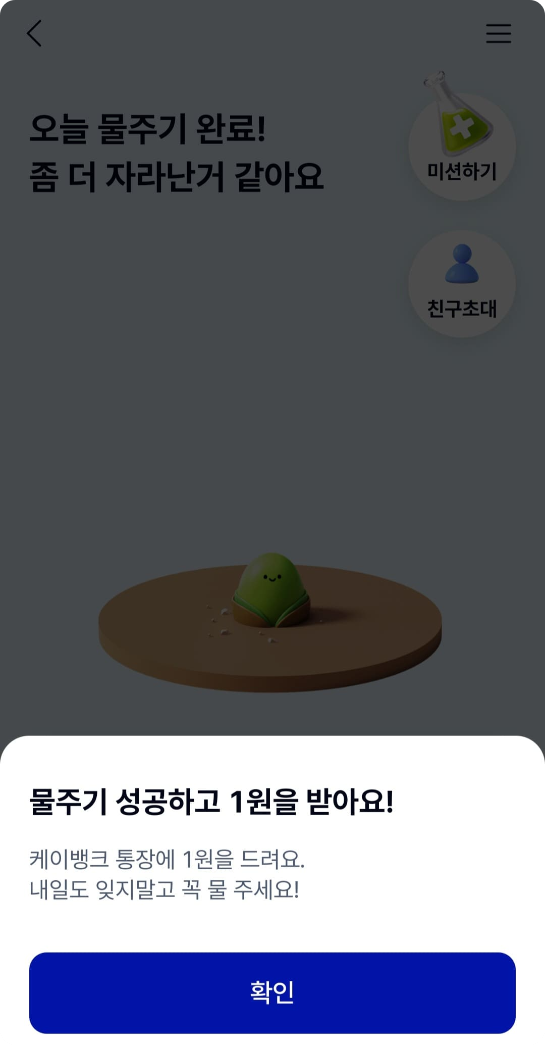 케이뱅크 돈나무키우기 관련 사진5