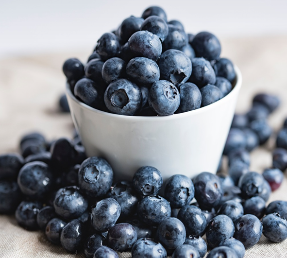 혈압-낮추는-음식-블루베리