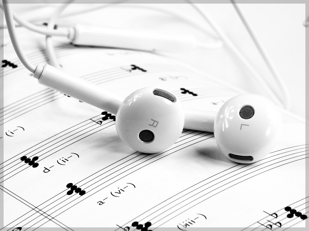 유튜브 뮤직에서 팟캐스트도 들을 수 있나요?