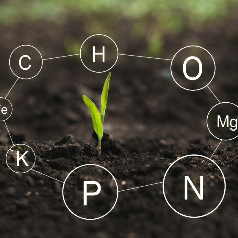 갱년기 영양제 추천