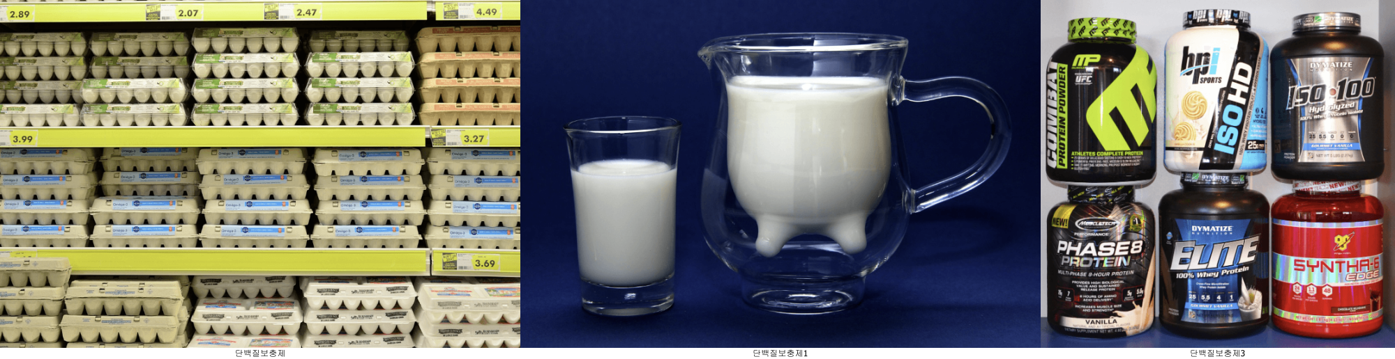 단백질 보충