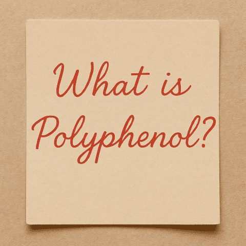 폴리페놀이란 무엇일까?